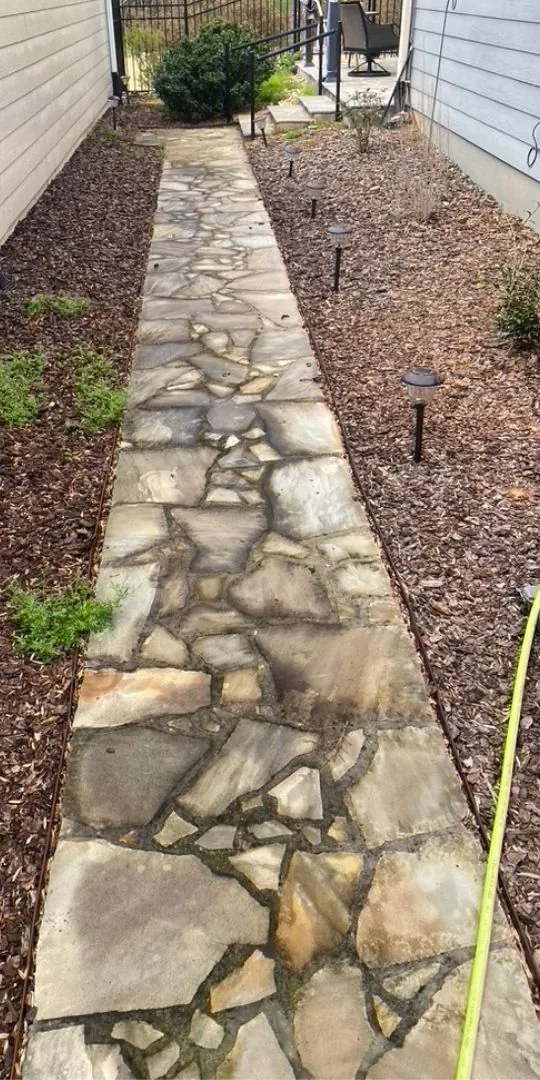 Flagstone side path, before washing