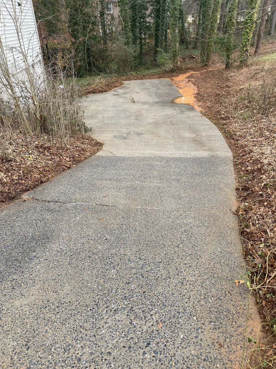 A cleaned exposed-aggregate driveway curving through trees