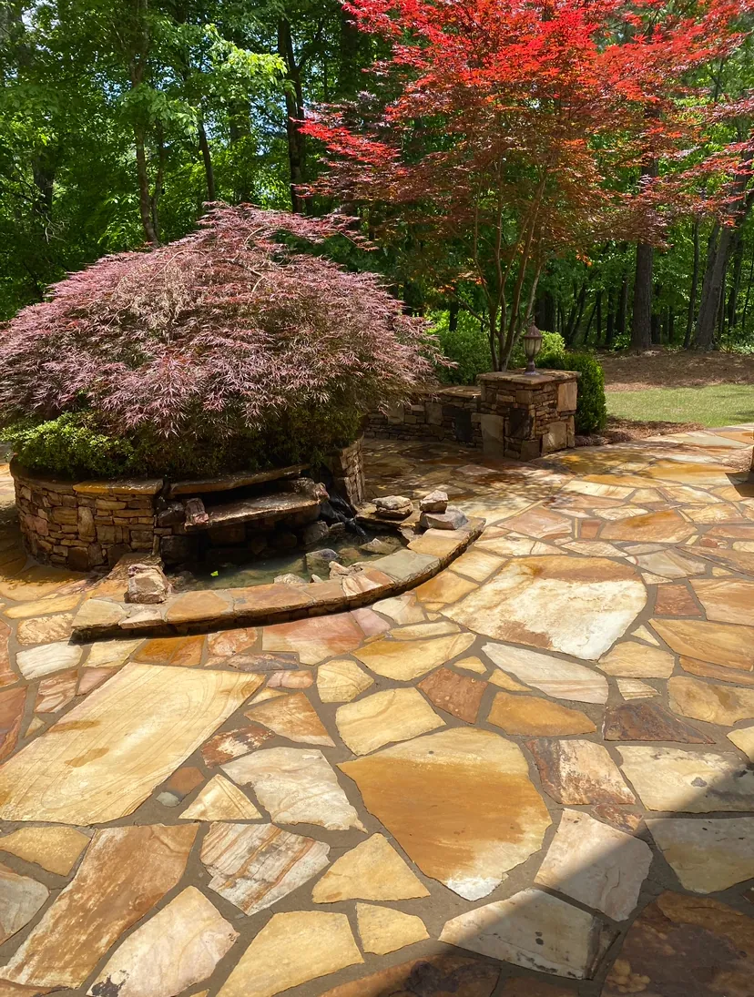 A flagstone patio under Japanese maples after washing